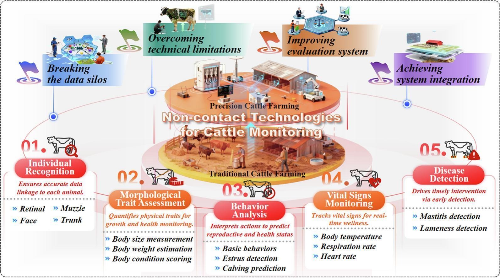 non-contact cattle monitoring